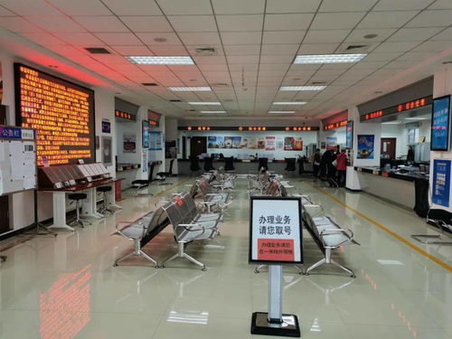 西集镇政务服务中心推出定制版延时服务，周末可办理经济与商务信息咨询